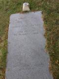 image of grave number 541544